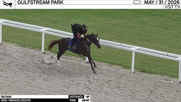 I'm Sam Worked 4 Furlongs in 48.97 at Gulfstream Park on May 31st, 2026