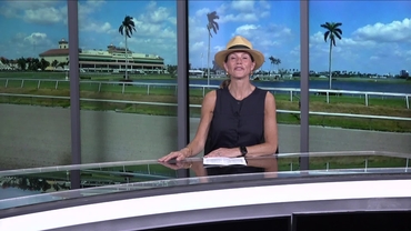 Preview of race 11,  The FHBPA F & M Turf Stakes  on April 25th, 2026