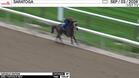 Catholic Edition Worked 5 Furlongs in 1:02.37 at Saratoga on September 3rd, 2026
