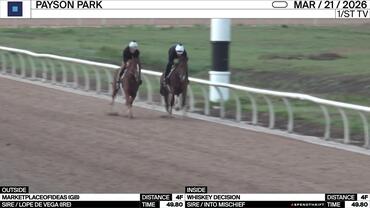 Marketplaceofideas (Outside) and Whiskey Decision Worked 4 Furlongs in 49.80 at Payson Park on March 21st, 2026