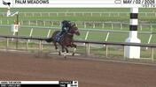 Hang the Moon Worked 3 Furlongs in 39.40 at Palm Meadows on May 2nd, 2026