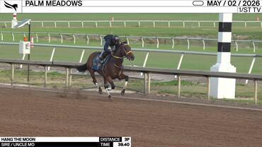 Hang the Moon Worked 3 Furlongs in 39.40 at Palm Meadows on May 2nd, 2026