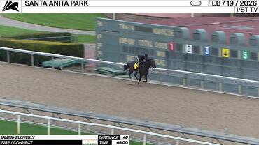 Isntsheloverly (Connect - Lane's End)_Leonard Powell_SA_260219