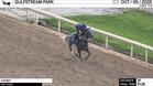 Cooey Worked 3 Furlongs in 37.36 at Gulfstream Park on October 5th, 2025