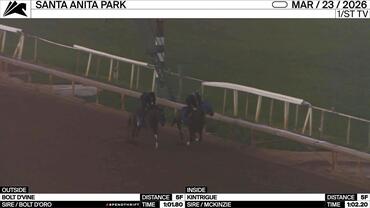 Bolt d'Vine (Outside) and Kintrigue Worked 5 Furlongs at Santa Anita Park on March 23rd 2026