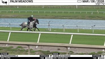 Sleepingsinderella (Outside) and Shes Blue N Orange Worked 5 Furlongs in 1:04.30 at Palm Meadows on March 6th, 2026