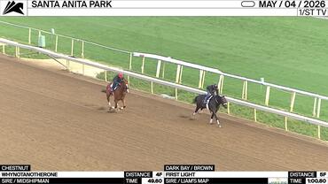 Whynotanotherone (Chestnut) and First Light Worked at Santa Anita Park on May 4th, 2026