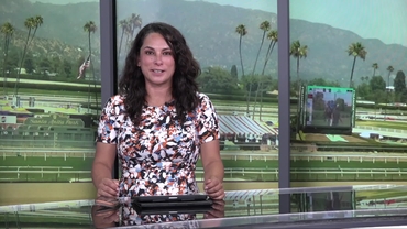 Preview of race 8 The Daytona Stakes on June 13th, 2026