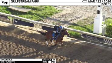 Luvucharlie Worked 3 Furlongs in 37.03 at Gulfstream Park on March 22nd, 2026