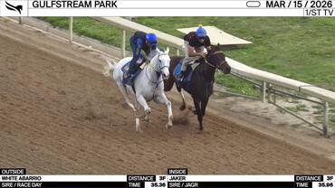 White Abarrio (Outside) and Jaker Worked 3 Furlongs at Gulfstream Park on March 15th, 2026