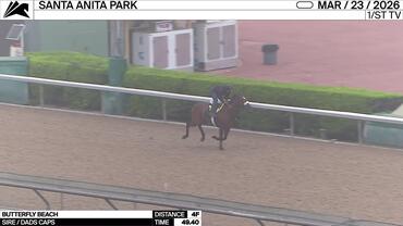 Butterfly Beach Worked 4 Furlongs in 49.40 at Santa Anita Park on March 23rd, 202