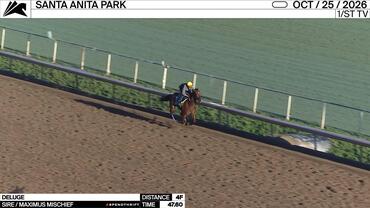 Deluge Worked 4 Furlongs in 47.60 at Santa Anita Park on October 25th, 2026