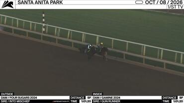 An Unnamed Horse out of the Dam Four Sugars (Outside) and an Unnamed Horse out of the Dam Gamine Worked 5 Furlongs in 1:01.20 at Santa Anita Park on October 8th, 2026