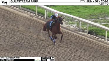 An Unnamed Horse out of the Dam Ciao Bella Worked 4 Furlongs in 52.71 at Gulfstream Park on June 7th, 2026