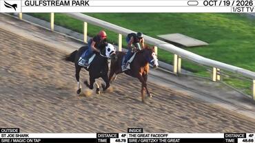 St Joe Shark (Outside) and The Great Faceoff Worked 4 Furlongs at Gulfstream Park on October 19th, 2026