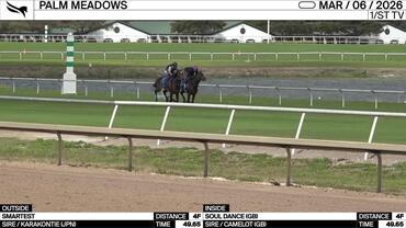 Smartest (Outside) and Soul Dance Worked 4 Furlongs in 49.65 at Palm Meadows on March 6th, 2026