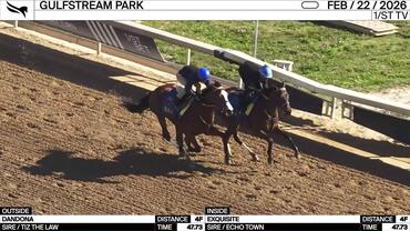 Dandona (Outside) and Exquisite Worked 4 Furlongs in 47.73 at Gulfstream Park on February 22nd, 2026