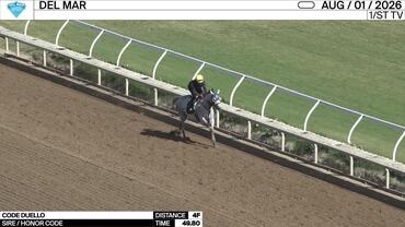 Code Duello Worked 4 Furlongs in 49.80 at Del Mar on August 1st, 2026