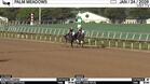 Knotenloserin (Outside) and Papa Golf Worked 3 Furlongs in 37.35 at Palm Meadows on January 24th, 2026