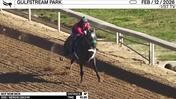 Not Now Nick Worked 4 Furlongs in 51.25 at Gulfstream Park on February 12th, 2026
