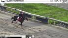 Mamuka Worked 4 Furlongs in 49.14 at Gulfstream Park on September 19th, 2026