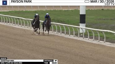 Sandtrap Worked 4 Furlongs in 49.60 at Payson Park on March 30th, 2026