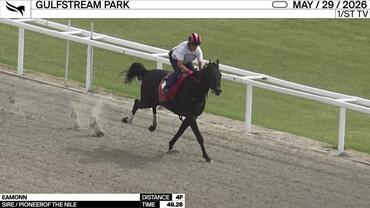 Eamonn Worked 4 Furlongs in 49.26 at Gulfstream Park on May 29th, 2026