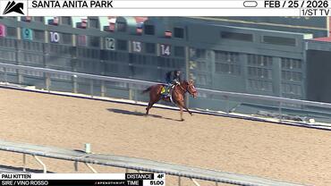 Pali Kitten Worked 4 Furlongs in 51.00 at Santa Anita Park on February 25th, 2026