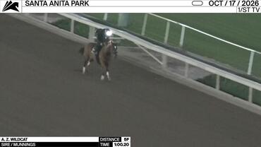 A. Z. Wildcat Worked 5 Furlongs in 1:00.20 at Santa Anita Park on October 17th, 2026
