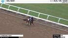 Formidable Man Worked 4 Furlongs in 48.00 at Del Mar on August 9th, 2025