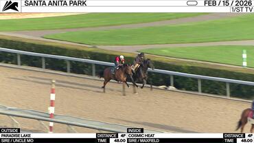 Paradise Lake (Outside) and Cosmic Heat Worked 4 Furlongs in 48.00 at Santa Anita Park on February 15th, 2026