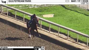 Spy Novel Worked 4 Furlongs in 47.81 at Gulfstream Park on May 17th, 2026