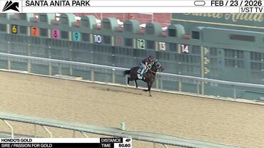 Hondo's Gold Worked 4 Furlongs in 50.60 at Santa Anita Park on February 23rd, 2026