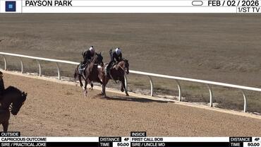 Capricious Outcome (Outside) and First Call Bob Worked 4 Furlongs in 50.00 at Payson Park on February 2nd, 2026