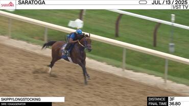 Skippylongstocking Worked 3 Furlongs in 36.80 at Saratoga on July 13th, 2025