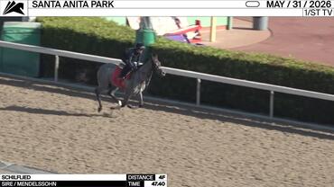 Schilflied Worked 4 Furlongs in 47.60 at Santa Anita Park on May 31st, 2026