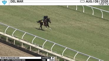 River In Paradise Worked 4 Furlongs in 51.60 at Del Mar on August 9th, 2026