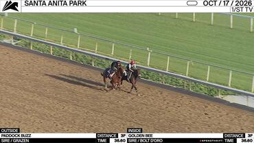 Paddock Buzz (Outside) and Golden Bee Worked 3 Furlongs in 36.60 at Santa Anita Park on October 17th, 2026