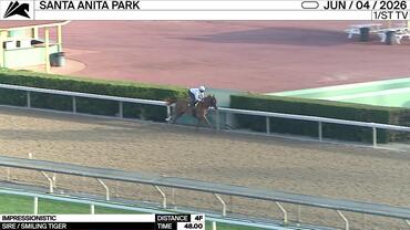 Impressionistic Worked 4 Furlongs in 48.00 at Santa Anita Park on June 4th, 2026