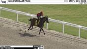 Coco Abarrio Worked 4 Furlongs in 52.09 at Gulfstream Park on May 29th, 2026
