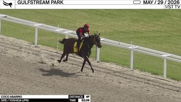 Coco Abarrio Worked 4 Furlongs in 52.09 at Gulfstream Park on May 29th, 2026