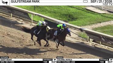 Giant Heart (Outside) and Colonel Royale Worked 4 Furlongs at Gulfstream Park on September 21st, 2026