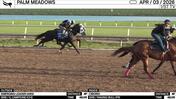 Emerging Leader (Outside) and Ciborio Worked 4 Furlongs in 49.05 at Palm Meadows on April 3rd, 2026