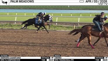 Emerging Leader (Outside) and Ciborio Worked 4 Furlongs in 49.05 at Palm Meadows on April 3rd, 2026