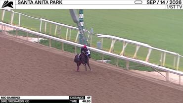 Mio Bambino Worked 4 Furlongs in 48.20 at Santa Anita Park on September 14th, 2026