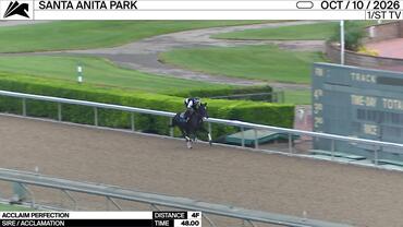 Acclaim Perfection Worked 4 Furlongs in 48.00 at Santa Anita Park on October 10th, 2026