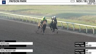 Mystic Sea (Outside) and Royal Majesty Worked 4 Furlongs in 50.20 at Payson Park on November 16th, 2025