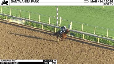 How Lovely Worked 4 Furlongs in 47.20 at Santa Anita Park on March 14th, 2026