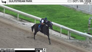 Sweet Dream Lady Worked 4 Furlongs in 47.66 at Gulfstream Park on October 5th, 2026