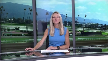 Preview of The Summer Stakes on Sep 13th, 2025
